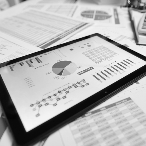 Custom Reports